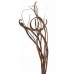 FANTAIL WILLOW 44"- No Sleeves-